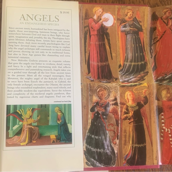 Beautiful ‘Angels an Endangered Species’ Book. Perfect for Christmas! - Picture 3 of 4